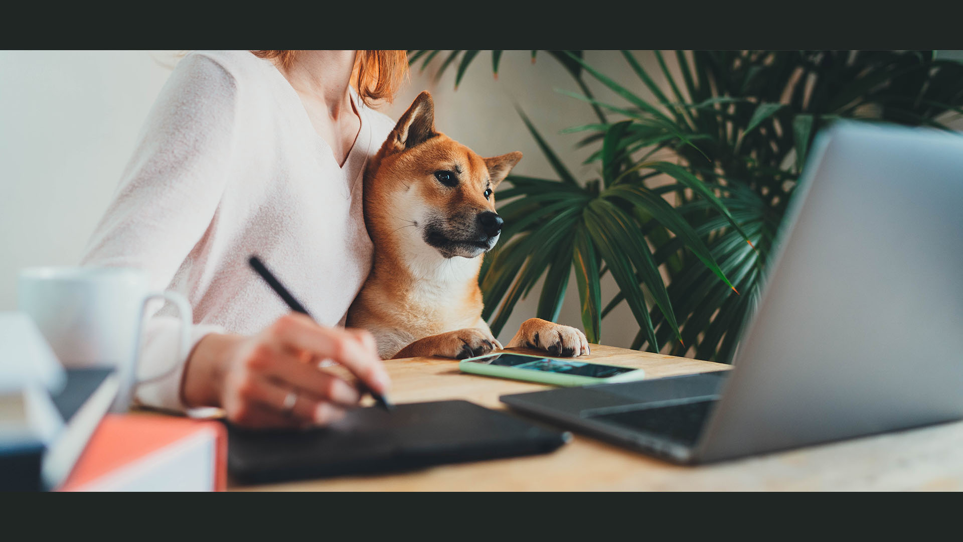 Featured image for “Preparing to Sell a House with Pets”