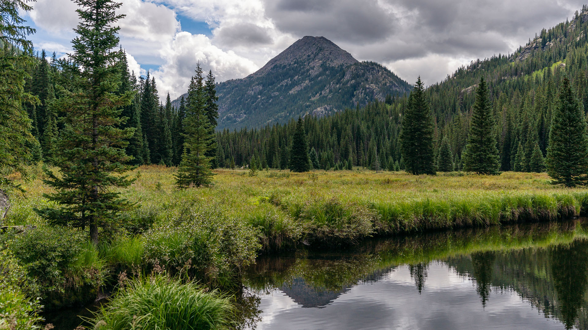 Featured image for “Could Federal Land Sales Help Solve the Housing Shortage?”